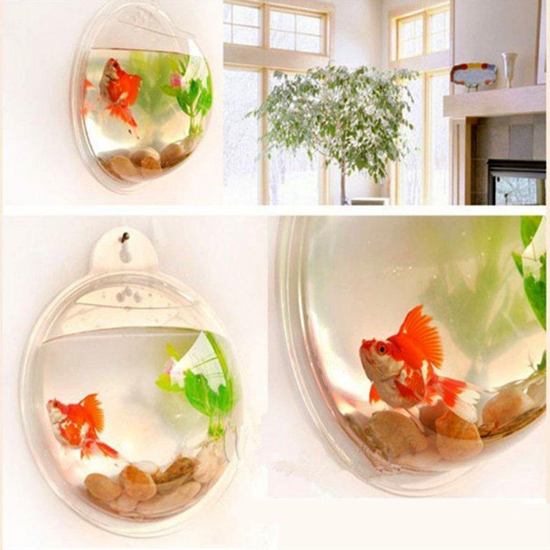 Wall Mounted Fish Bowl-Acrylic – Deal Empire